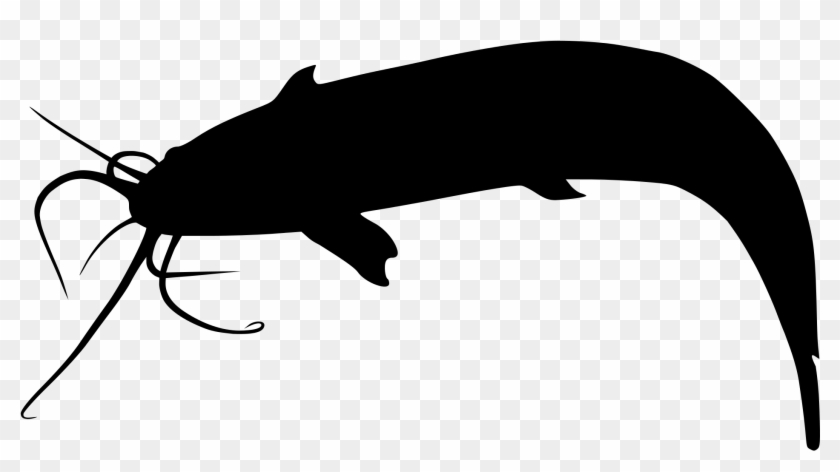 Clip Art Free Download Catfish Vector Silhouette - Bagre Silueta #1632383