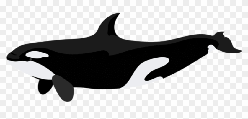 Free Png Download Orca Clipart Png Photo Png Images - Orca Killer Whale Clip Art #1632384