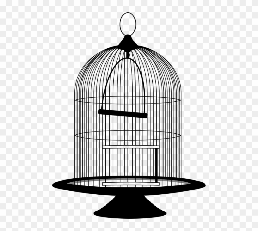 Vector Graphics - Bird In Cage Png #1632764