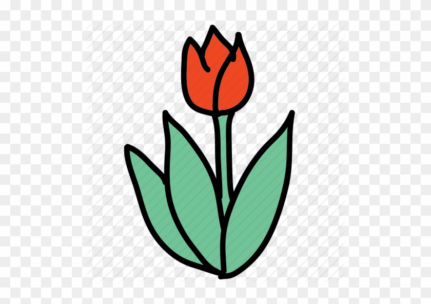 Tulip Clipart Icon - Tulipa Humilis #1633123
