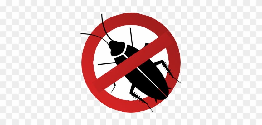 Cockroach Control - Cockroach Clipart Free #1633188