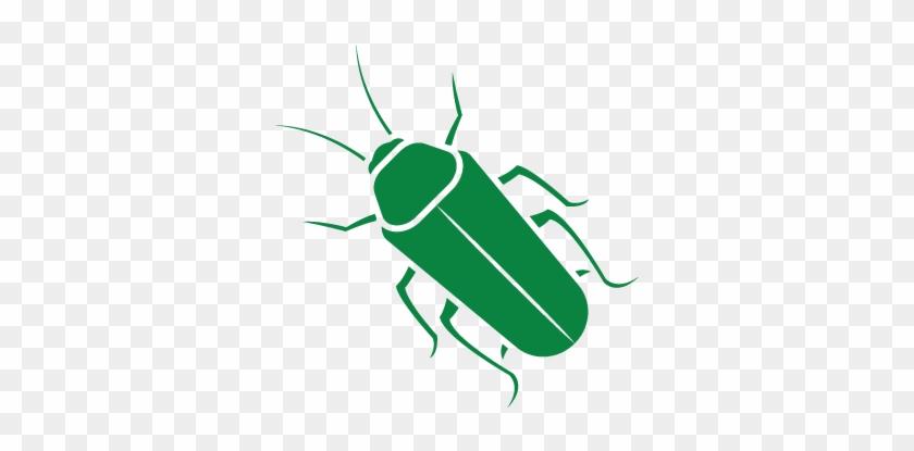 Cockroaches - Longhorn Beetle #1633207