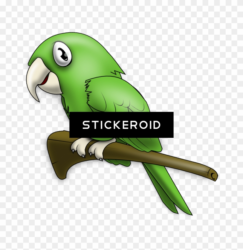 Cute Parrot - Parakeet #1633282