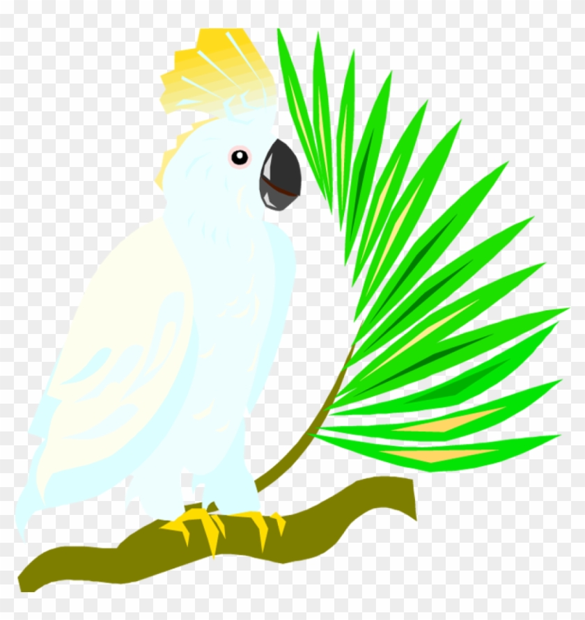 Free Parrot Clipart Free Parrot And Macaw Clipart Clipart - Sulphur-crested Cockatoo #1633283