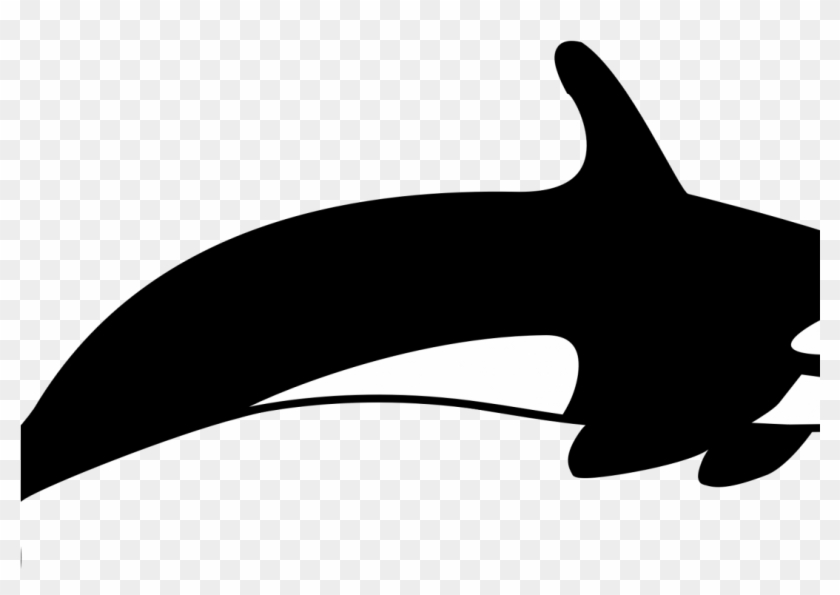 Frightening Shamu Clipart The Killer Whale Cetacea - Shark #1633560