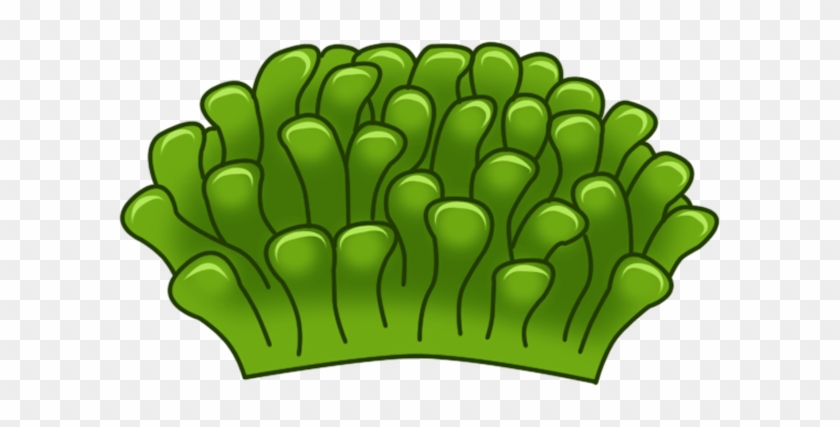 Featured image of post Sea Anemone Clipart
