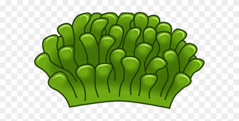 Green Sea Anemone - Green Sea Anemone #1633718