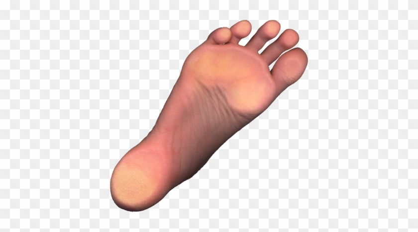 398 X 387 8 - Back Side Of Foot #1633839