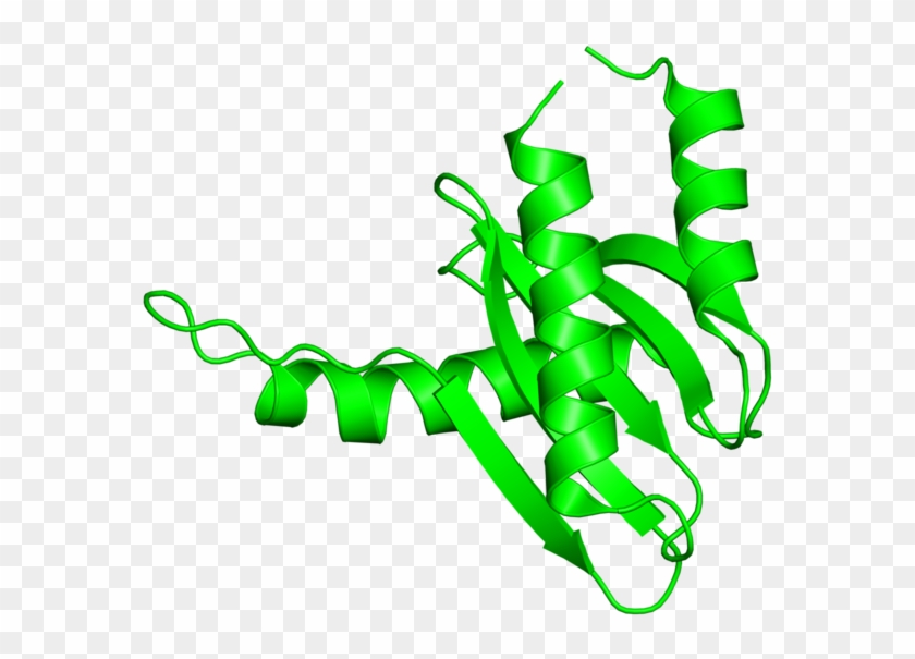 <div Class='caption-body'>2 Copies Of Scop Domain < - <div Class='caption-body'>2 Copies Of Scop Domain < #1633921