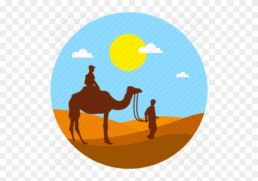 512 X 512 1 - Arabian Camel #1633923