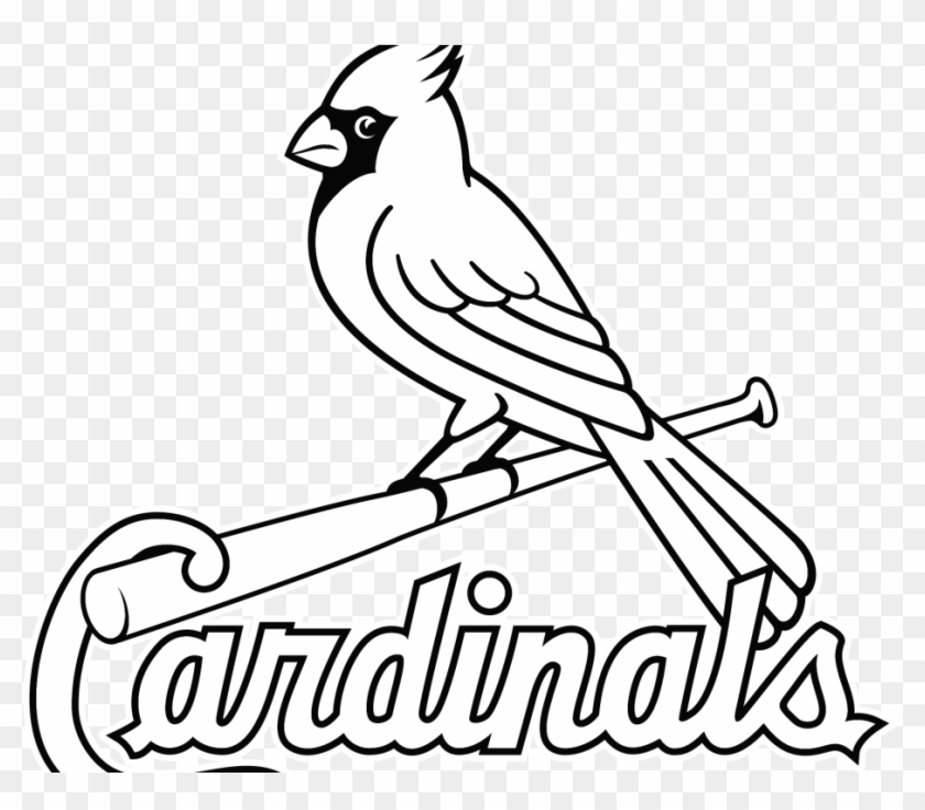 St Louis Cardinals Wallpaper - St Louis
