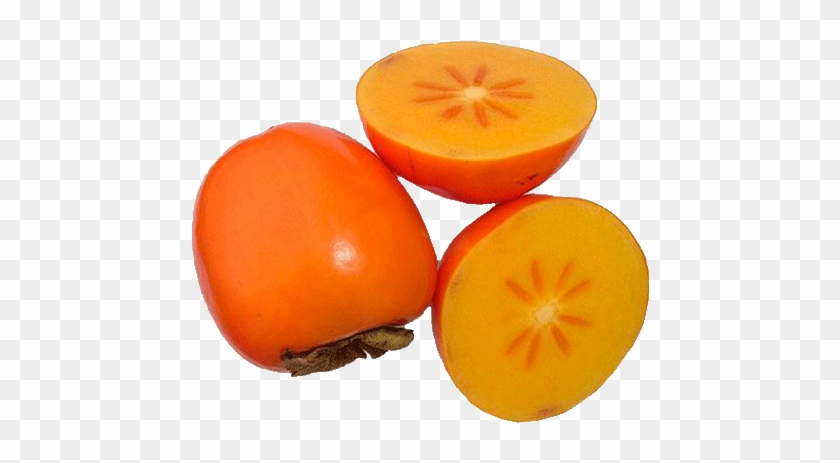 Download Free "persimmon Clipart 3" Png Photo, Images - Download Free "persimmon Clipart 3" Png Photo, Images #1634150