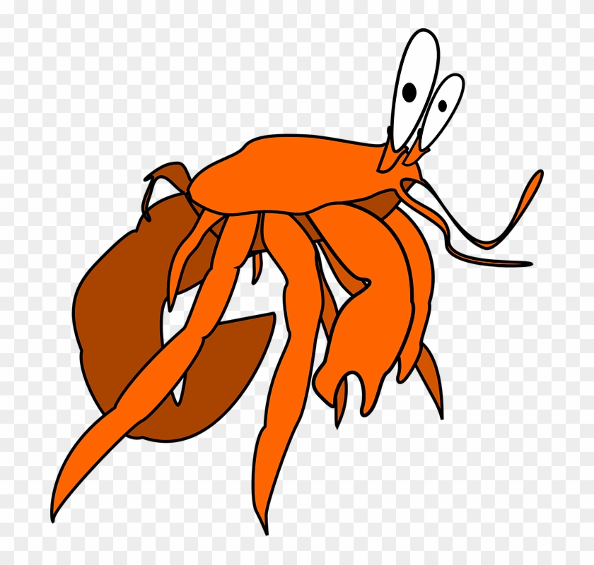 Free Shop Of Library Buy Clip Art - Hermit Crab Vector Free #1634402