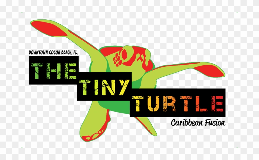The Tiny Turtle - The Tiny Turtle #1634612
