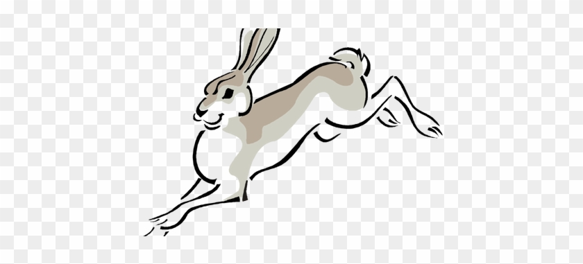 Jackrabbit Drawing Arctic Hare - Jackrabbit Clip Art #1634625