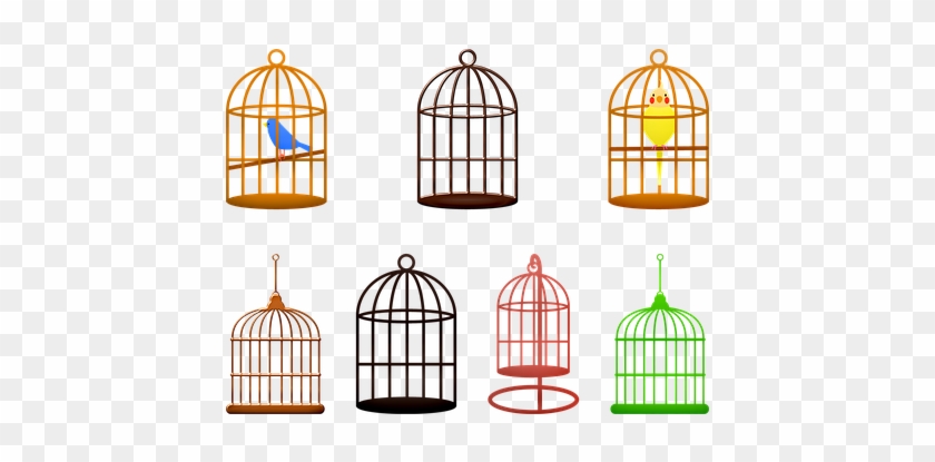 Birdcage, Birds, Colorful, Cage, Animal - Cage #1634635