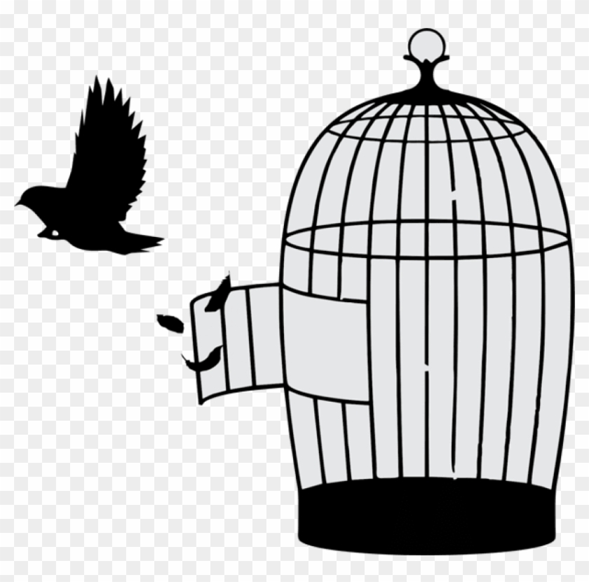 Free Png Download Bird Out Of Cage Png Images Background - Bird Out Of Cage #1634658