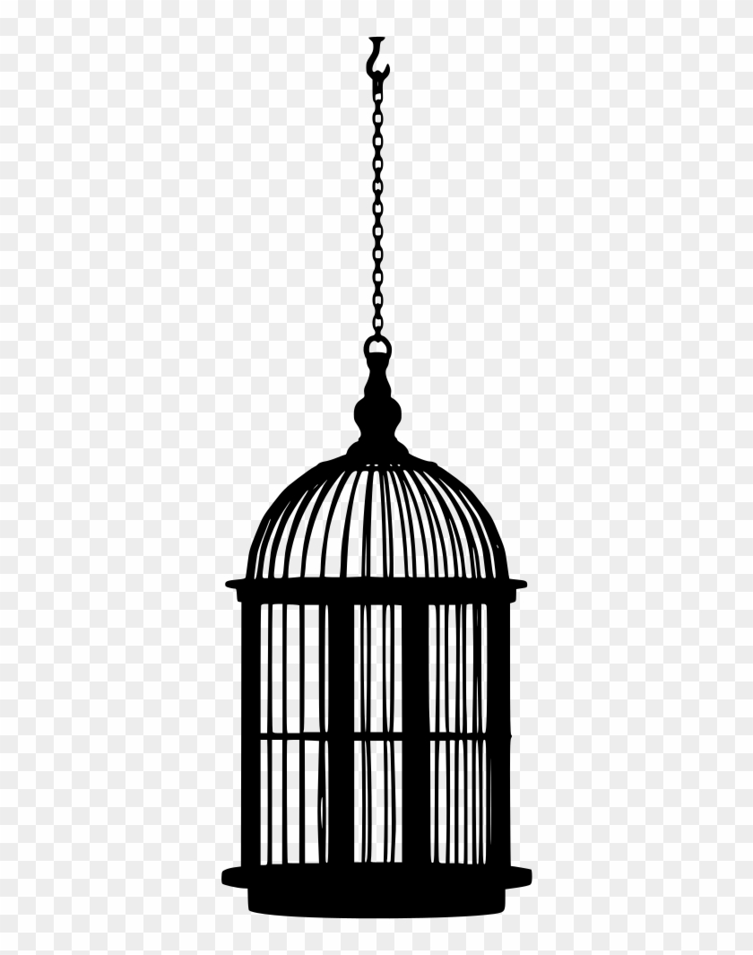 Info - Bird Cage Silhouette Png #1634665