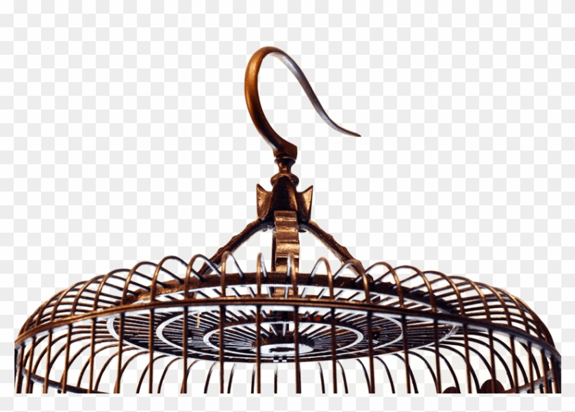 Read More » - Read More » #1634684