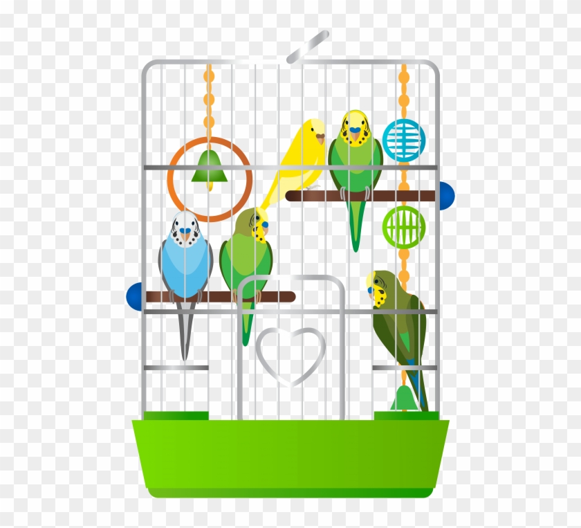Download Cage With Parrots Clipart Png Photo - Birds In The Cage Clipart #1634686