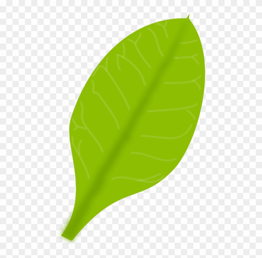 Daun Cartoon Png #1634724