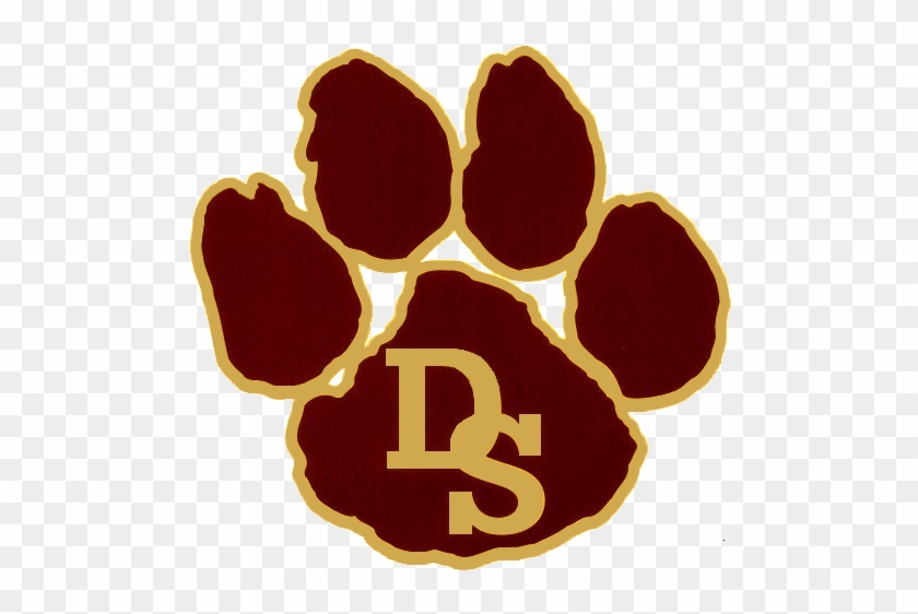 Reasons Why You'll Want Your Kids To Attend Dripping - Dripping Springs High School Logo #1634836