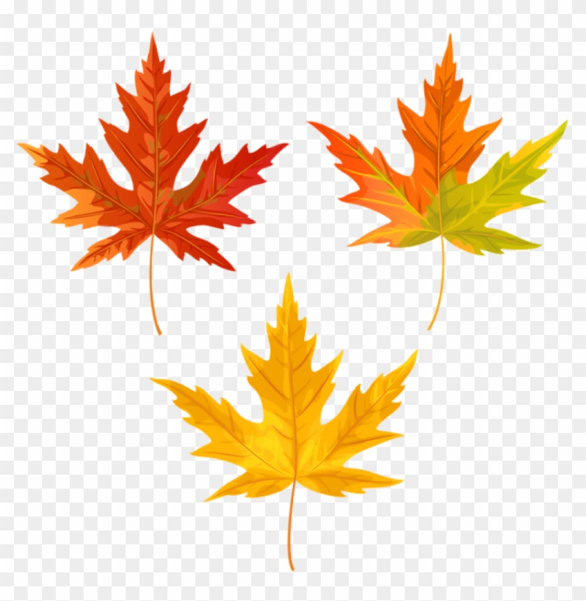 Download Orange Fall Leaves Clipart Png Photo - Maple Leaf #1634956