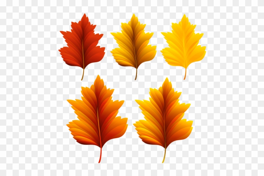Free Png Download Beautiful Fall Leaves Set Clipart - Красивые Картинки Осенние Листочки #1634960