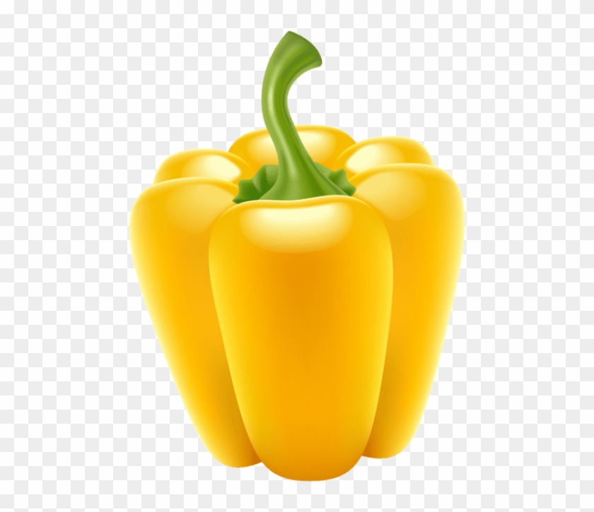 480 X 645 1 - Bell Pepper Clipart Png #1634978