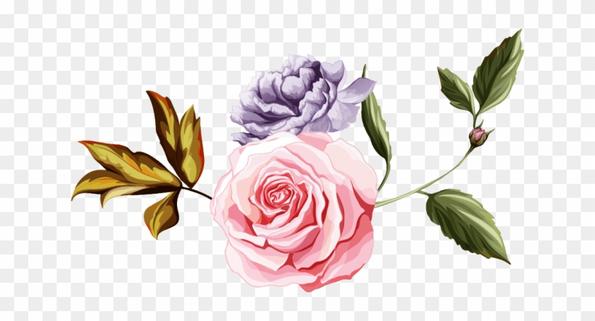 Floral Design - Garden Roses #1634997