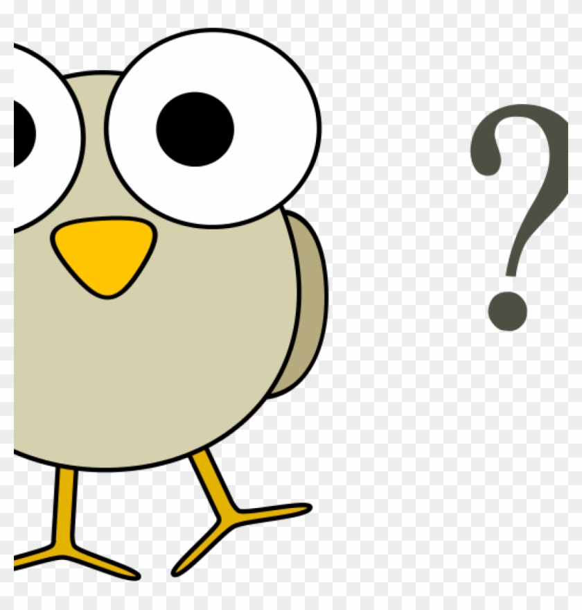 Free Clip Art Question Mark Free Clipart Grey Bird - Owl Question Mark #1635140