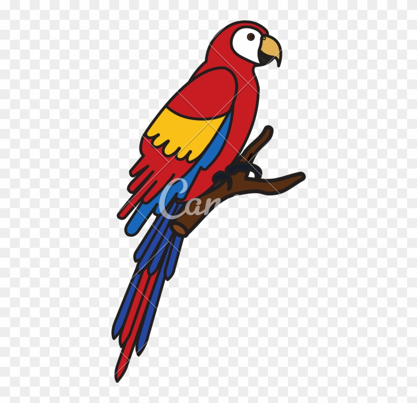 Exotic Parrot In Branch Tropical Bird - Macaw #1635257