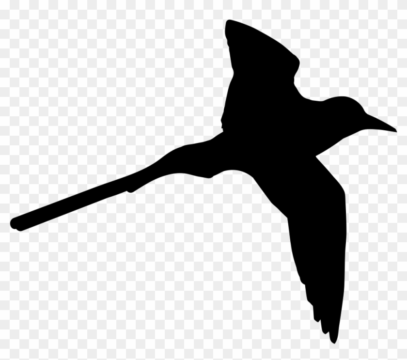 Tropical Bird Shape Of Long Tail Comments - Bird Shape #1635262