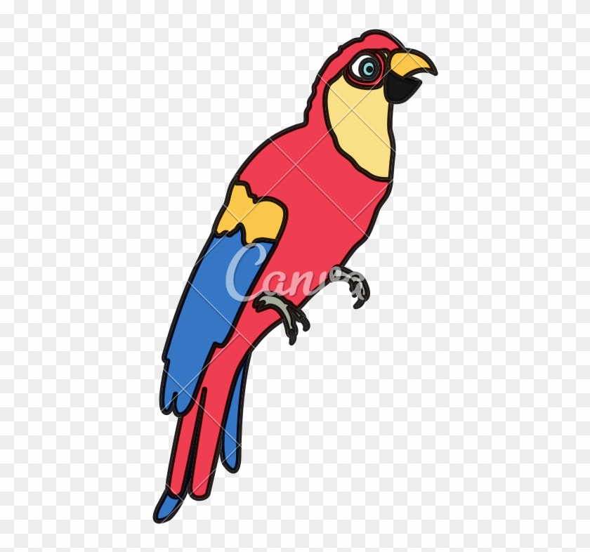 Color Tropical Parrot Bird Animal Style - Macaw #1635263