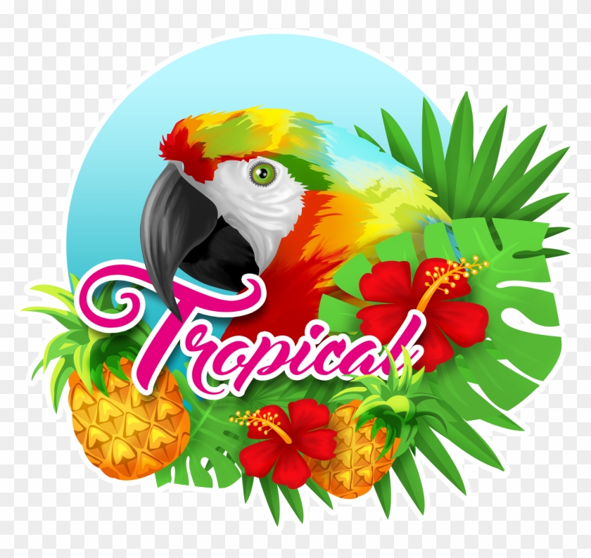 Tropical - Macaw #1635270