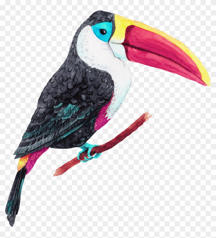 3000 X 3161 5 - Bird #1635275