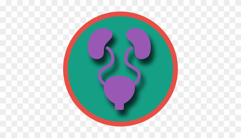 Genitourinary - Circle #1635810