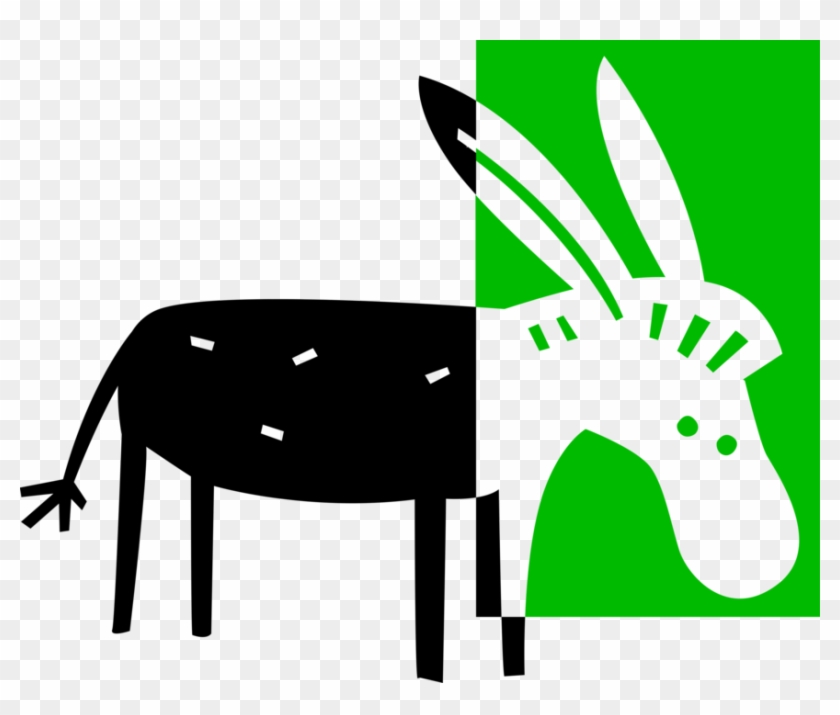 Vector Illustration Of Domesticated Donkey Or Ass - Burro #1635974