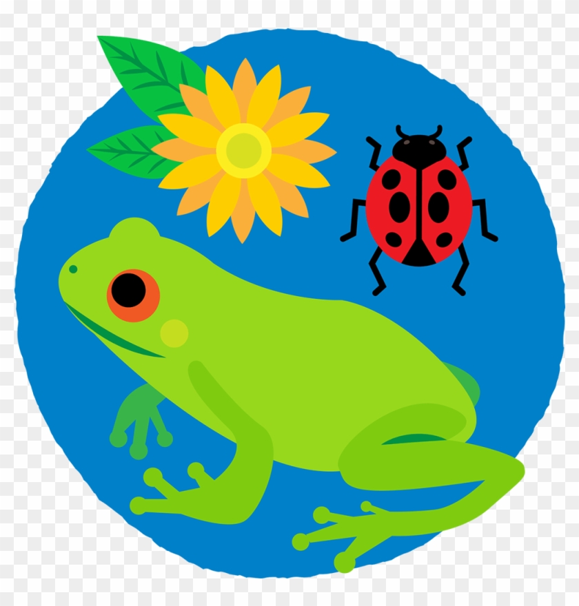 Frog, Ladybug And Flower In A Circle - Ology #1636230
