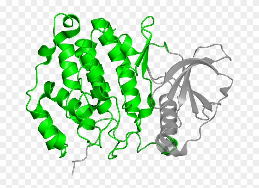 <div Class='caption-body'>1 Copy Of Cath Domain < - Illustration #1636239