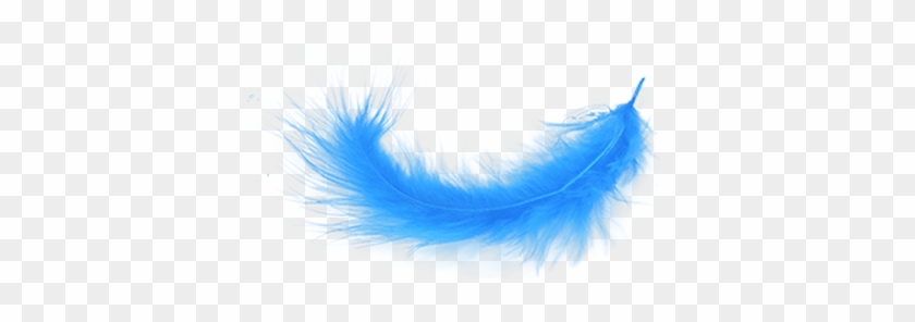 Blue Feather Transparent Png Stickpng - Blue Feather Png #1636262