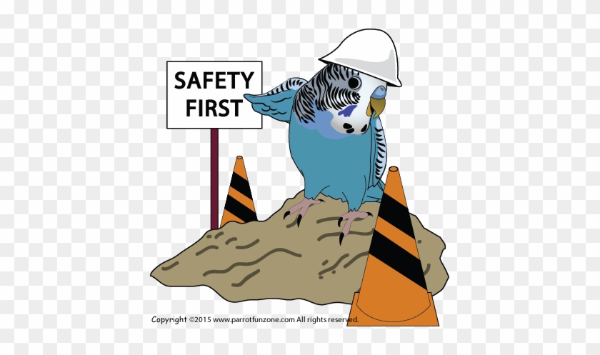 Make Things Safe Our Pet Birds Are - Safety First Clip Art #1636285