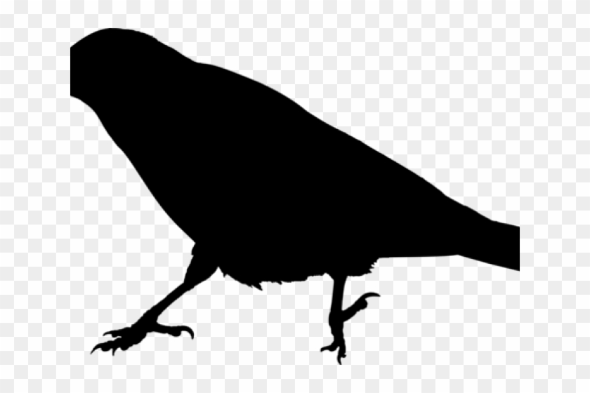 Raven Clipart Raven Bird - Crow Silhouette Transparent Background #1636303