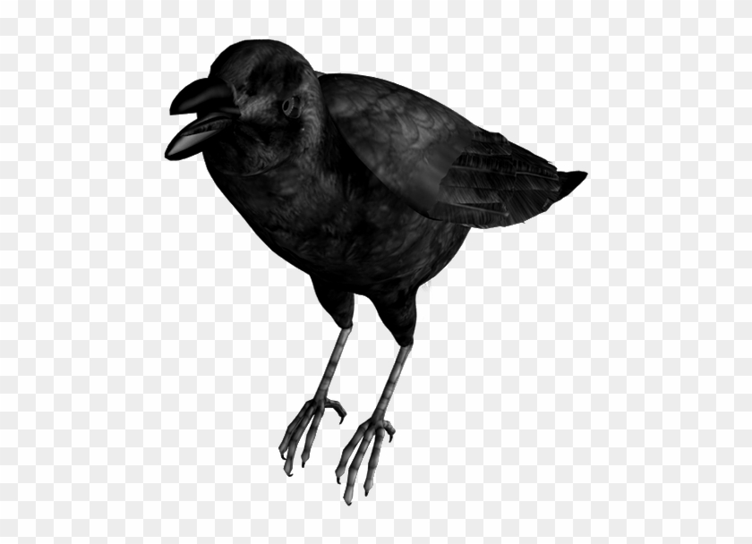 Crow Bird Clip Art - Common Raven #1636309