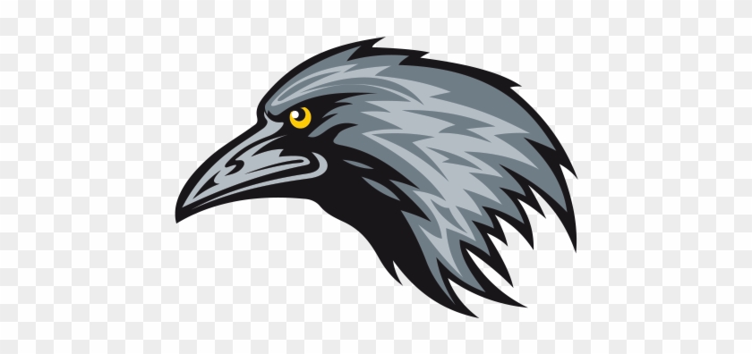 Crow Clipart Crow Head - Raven Mascot #1636311