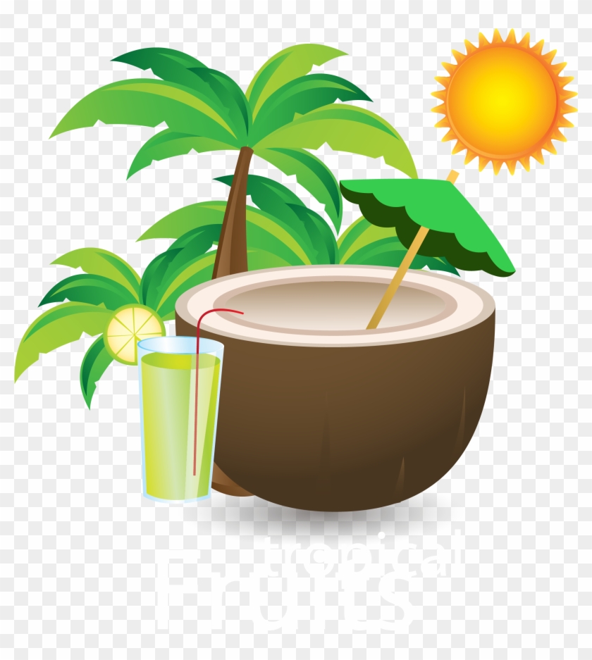 Banner Freeuse Library Download Drink Material Transprent - Benefit Of Coconut Water For Baby Vector #1636359