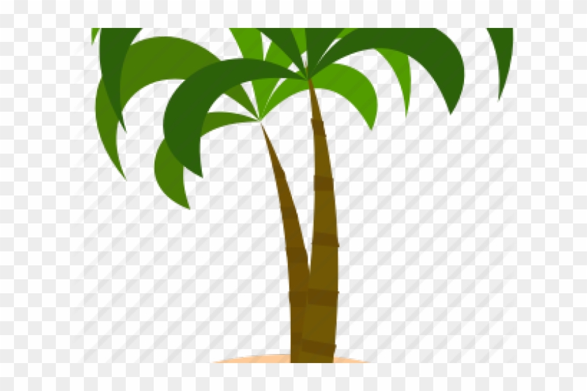 Coconut Clipart Coconut Island - Palm Tree #1636363