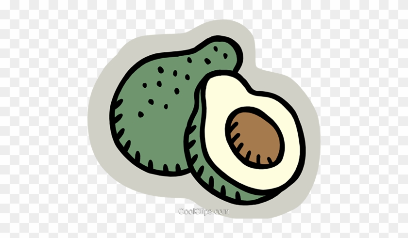Coconut Royalty Free Vector Clip Art Illustration - Animated Image Of Avocado #1636367