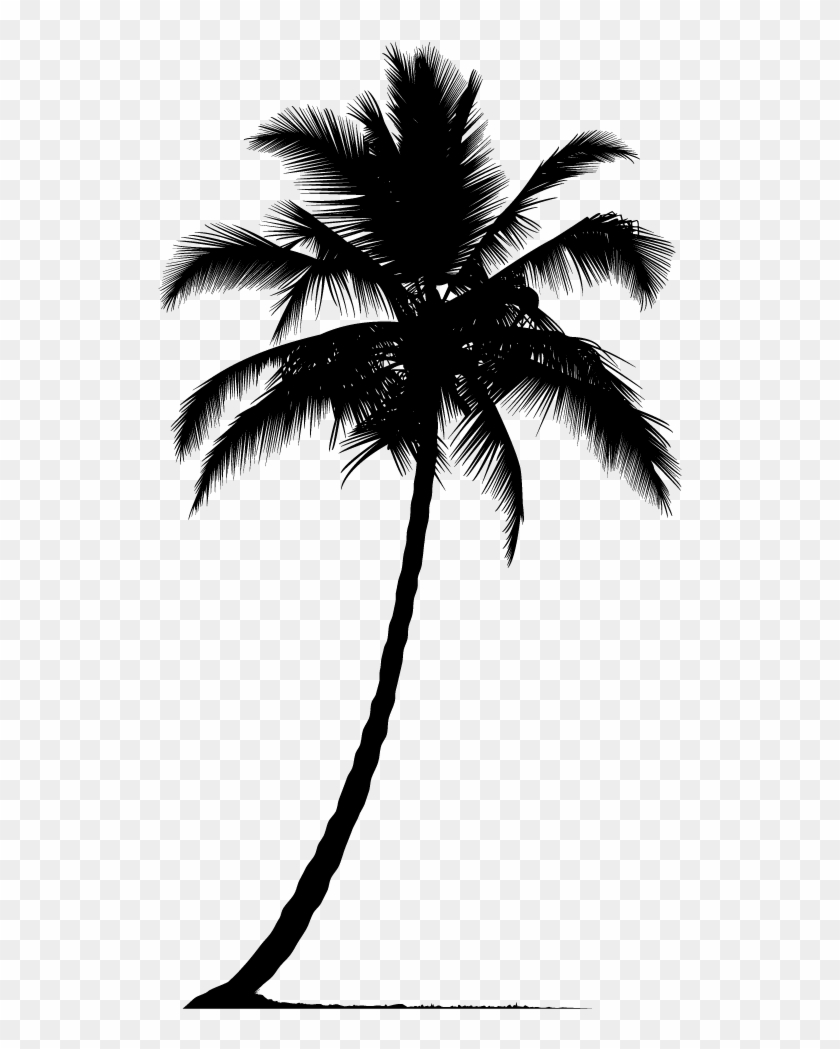 Arecaceae Silhouette Tree - Palm Tree Silhouette Png #1636369