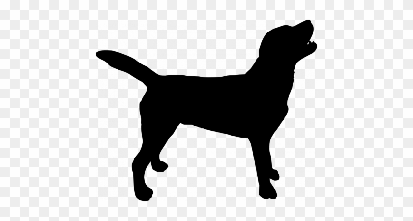 Labrador Dog Clipart - Dog Silhouette Transparent Background #1636702